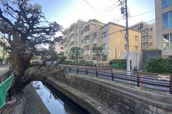 パレ二子玉川 建物外観(2023.10撮影)