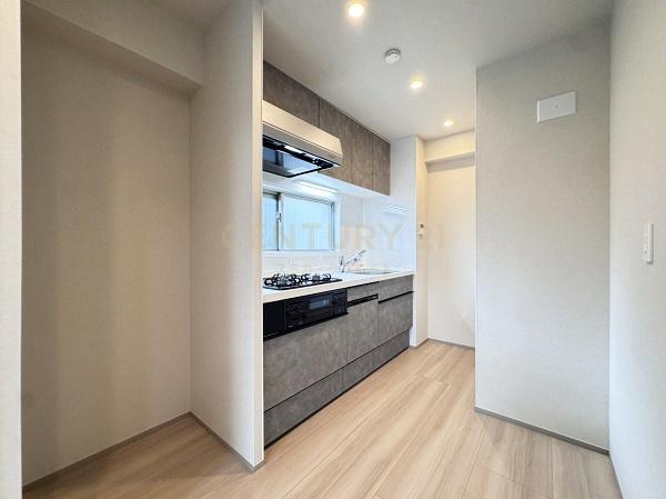 �����s�i��擌�ܔ��c1���� 11-5�̒��Ã}���V�����̃L�b�`��