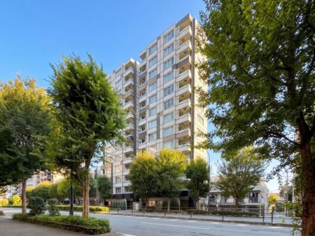 �����s�V�h��k�V�h1���� 20-4�̒��Ã}���V�����̌��n�O�ώʐ^