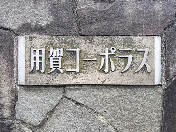 �����s���c�J��p��3���� 15-14�̒��Ã}���V�����̂��̑����p��