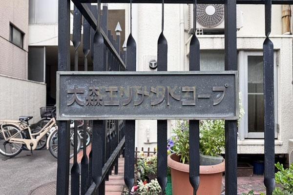 �����s��c���X�k1���� 29-11�̒��Ã}���V�����̂��̑����p��