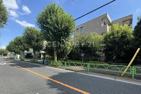 �����s���c�J��[��3���� 26-15�̒��Ã}���V�����̂��̑����n