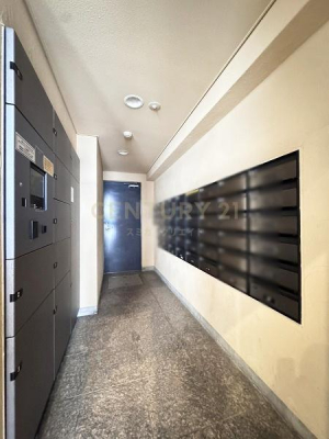 �����s���c�J��[��5���� 24-23�̒��Ã}���V�����̂��̑����p��