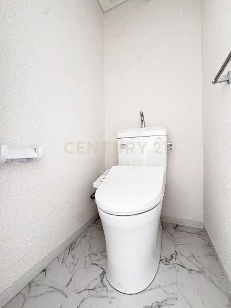�����s���c�J��D��7���� 20-5�̒��Ã}���V�����̃g�C��