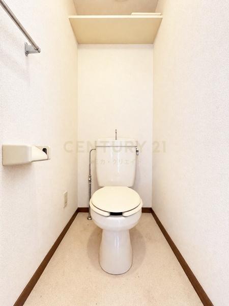 �����s�i���k�i��1���� 30-9�̒��Ã}���V�����̃g�C��