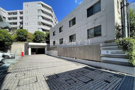 �����s�`��O�c4���� 19-25�̒��Ã}���V�����̂��̑����p��