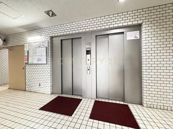 �����s�V�h�搼����c3���� 31-11�̒��Ã}���V�����̂��̑����p��