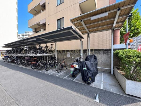 �����s�V�h�搼����c3���� 31-11�̒��Ã}���V�����̂��̑����p��