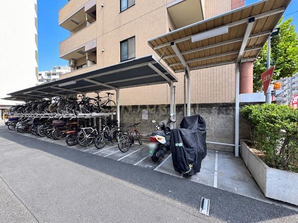 �����s�V�h�搼����c3���� 31-11�̒��Ã}���V�����̂��̑����p��