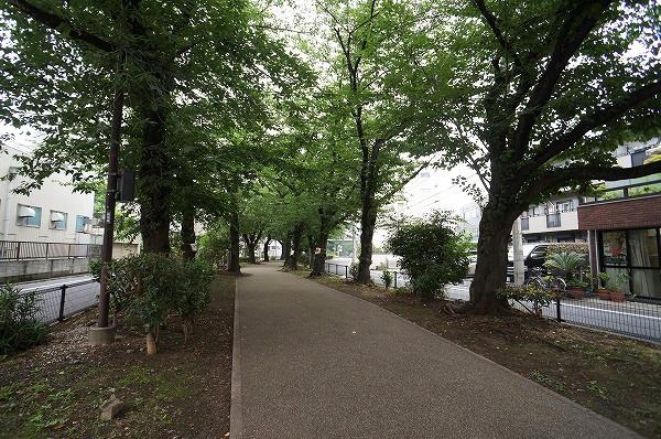 �����s���c�J��o��1���� 37-10�̒��Ã}���V�����̎��ӊ�