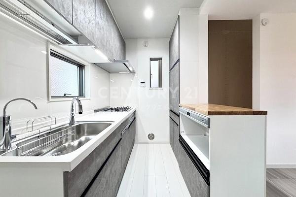 �����s�i����t2���ڂ̐V�z��ˌ��ẴL�b�`��