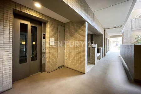 �����s��c�攋��3���� 17-7�̒��Ã}���V�����̂��̑����p��