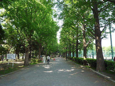 �����s���c�J���c3���� 18-5�̒��Ã}���V�����̎��ӊ�