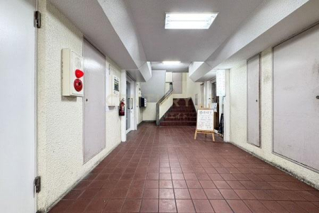 �����s��c���X�k6���� 17-15�̒��Ã}���V�����̃G���g�����X