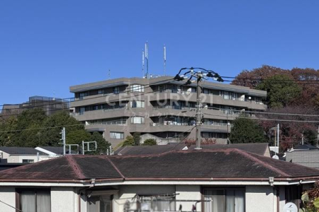 �����s��c��R��3���� 43-2�̒��Ã}���V�����̂��̑����n