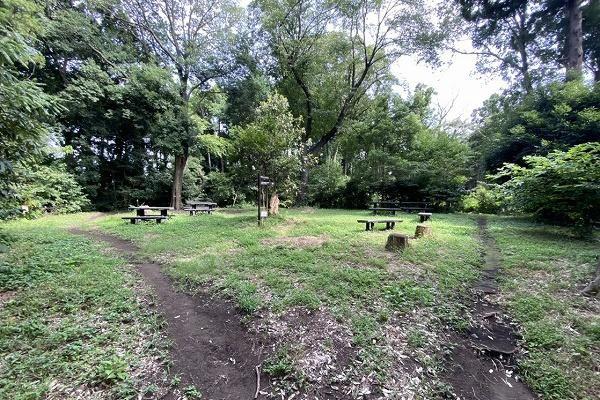 �_�ސ쌧���l�s���捡�h2���ڂ̒��È�ˌ��Ă̎��ӊ�