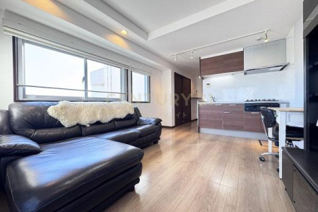 �����s���c�J��r�K2���� 35-9�̒��Ã}���V�����̃��r���O