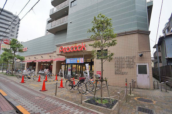 大岡山 新築分譲住宅 2号棟
