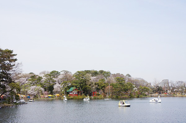 大岡山 新築分譲住宅 1号棟