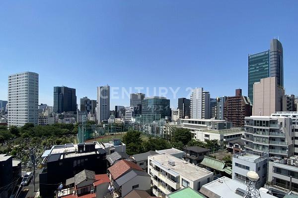 アエリア南青山 南西側窓からの眺望