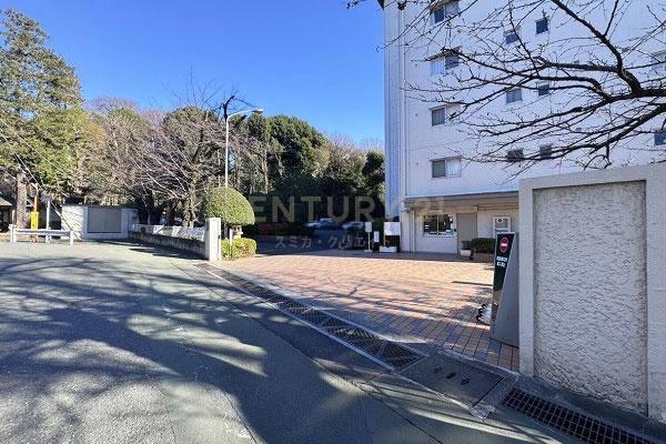 �����s���c�J�搣�c4���� 7-11�̒��Ã}���V�����̃G���g�����X