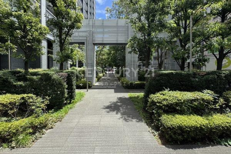 �����s�`���1���� 2-1�̒��Ã}���V�����̃G���g�����X