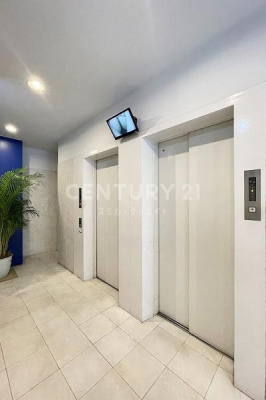 �����s�ڍ���勴2���� 4-8�̒��Ã}���V�����̂��̑����p��