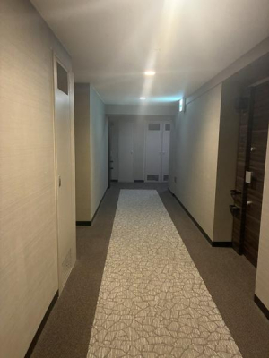 �����s�ڍ��扺�ڍ�2���� 20-26�̒��Ã}���V�����̂��̑����p��