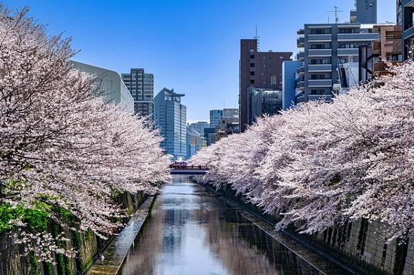 �����s�ڍ��扺�ڍ�2���� 20-26�̒��Ã}���V�����̎��ӊ�