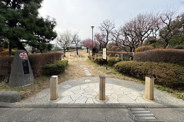 �����s��c���X��2���� 24-3�̒��Ã}���V�����̂��̑�