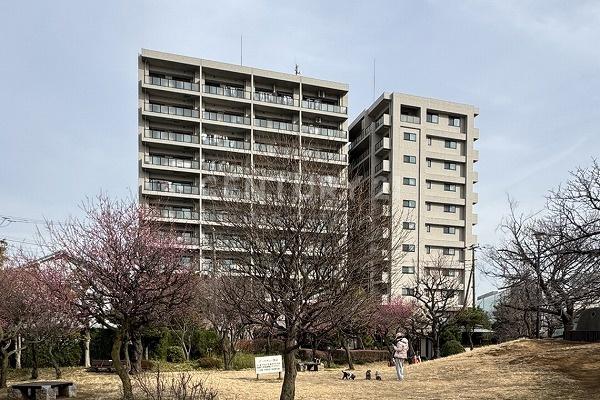 �����s��c���X��2���� 24-3�̒��Ã}���V�����̂��̑����n