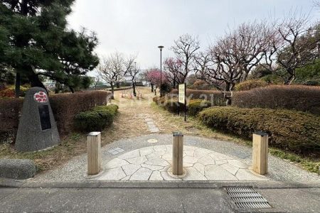 �����s��c���X��2���� 24-3�̒��Ã}���V�����̂��̑�