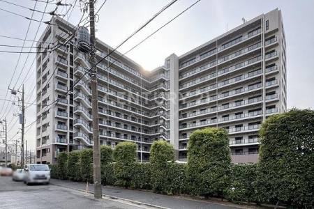 �����s��c���X��2���� 24-3�̒��Ã}���V�����̂��̑����n