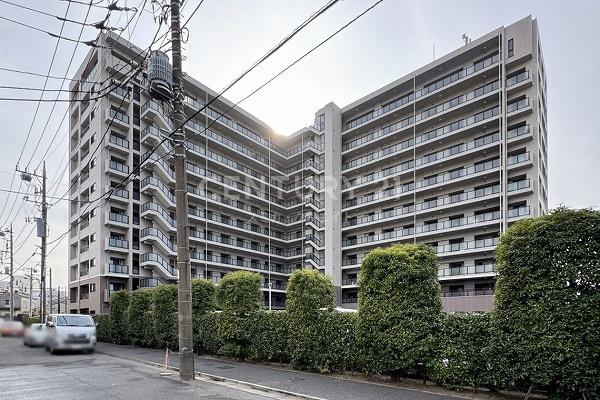 �����s��c���X��2���� 24-3�̒��Ã}���V�����̂��̑����n