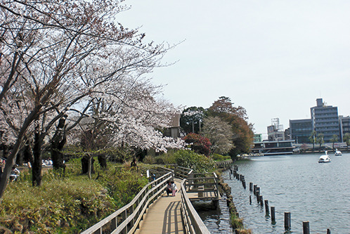 洗足 売地 洗足池公園