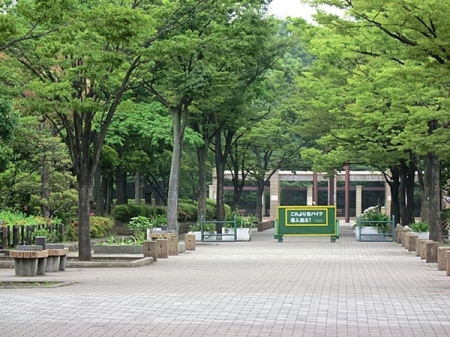 �����s��c���X��1���� 31-1�̒��Ã}���V�����̎��ӊ�