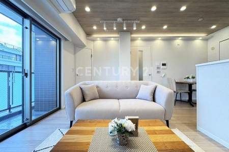 �����s��c�搼���c8���� 21-2�̒��Ã}���V�����̃��r���O