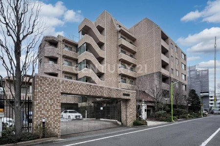 �����s���c�J��m4���� 8-12�̒��Ã}���V�����̂��̑����n