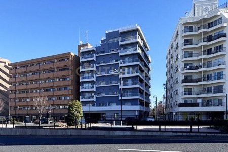 �����s�a�J���X��5���� 8-5�̒��Ã}���V�����̂��̑����n