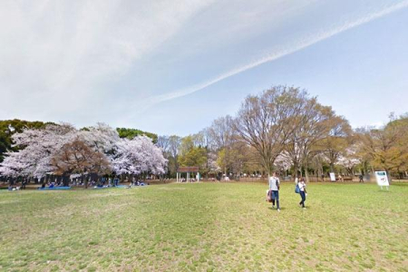 �����s�a�J���X��5���� 8-5�̒��Ã}���V�����̎��ӊ�