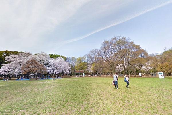 �����s�a�J���X��5���� 8-5�̒��Ã}���V�����̎��ӊ�