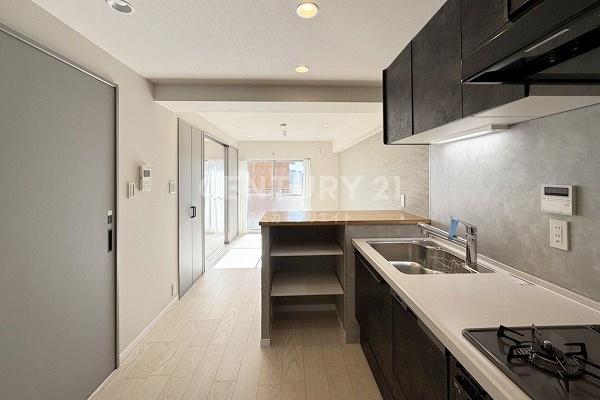 �����s�ڍ���勴1���� 1-11�̒��Ã}���V�����̃��r���O