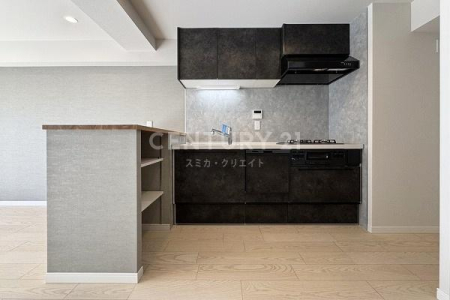 �����s�ڍ���勴1���� 1-11�̒��Ã}���V�����̃L�b�`��