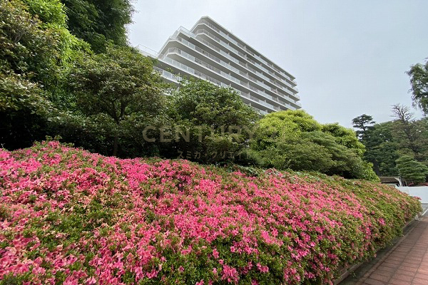 下馬ハイム 建物外観(2021.5撮影)
