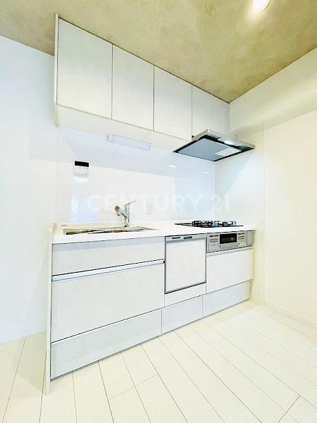 �����s�`�捂��2���� 10-7�̒��Ã}���V�����̃L�b�`��