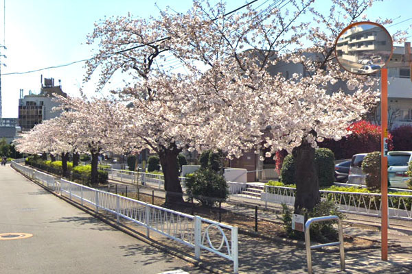 シャンボール都立大 呑川緑道