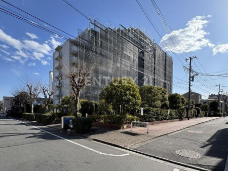 �����s��c�抗�c1���� 6-18�̒��Ã}���V�����̂��̑����n