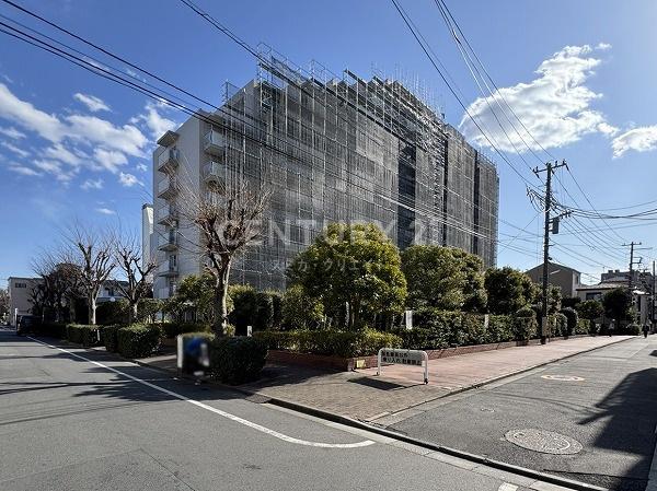 �����s��c�抗�c1���� 6-18�̒��Ã}���V�����̂��̑����n