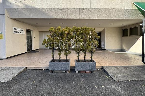 �����s�ڍ���蕶�J2���� 21-6�̒��Ã}���V�����̃G���g�����X