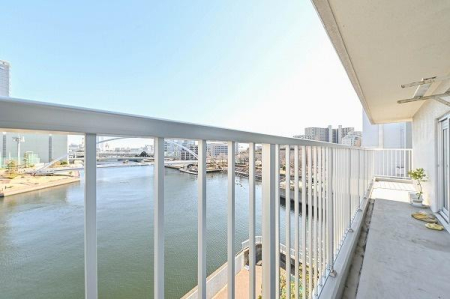 �����s�i��擌�i��1���� 39-2�̒��Ã}���V�����̃o���R�j�[